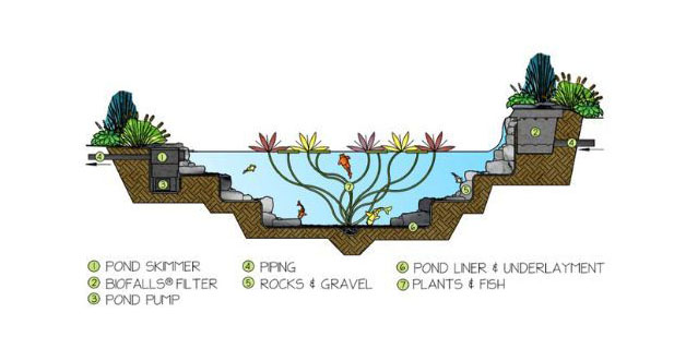 Ecosystem Ponds